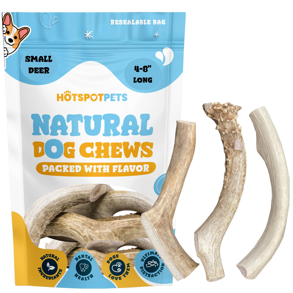 Dog enjoying a long-lasting chew from Hotspot Pets deer antlers
