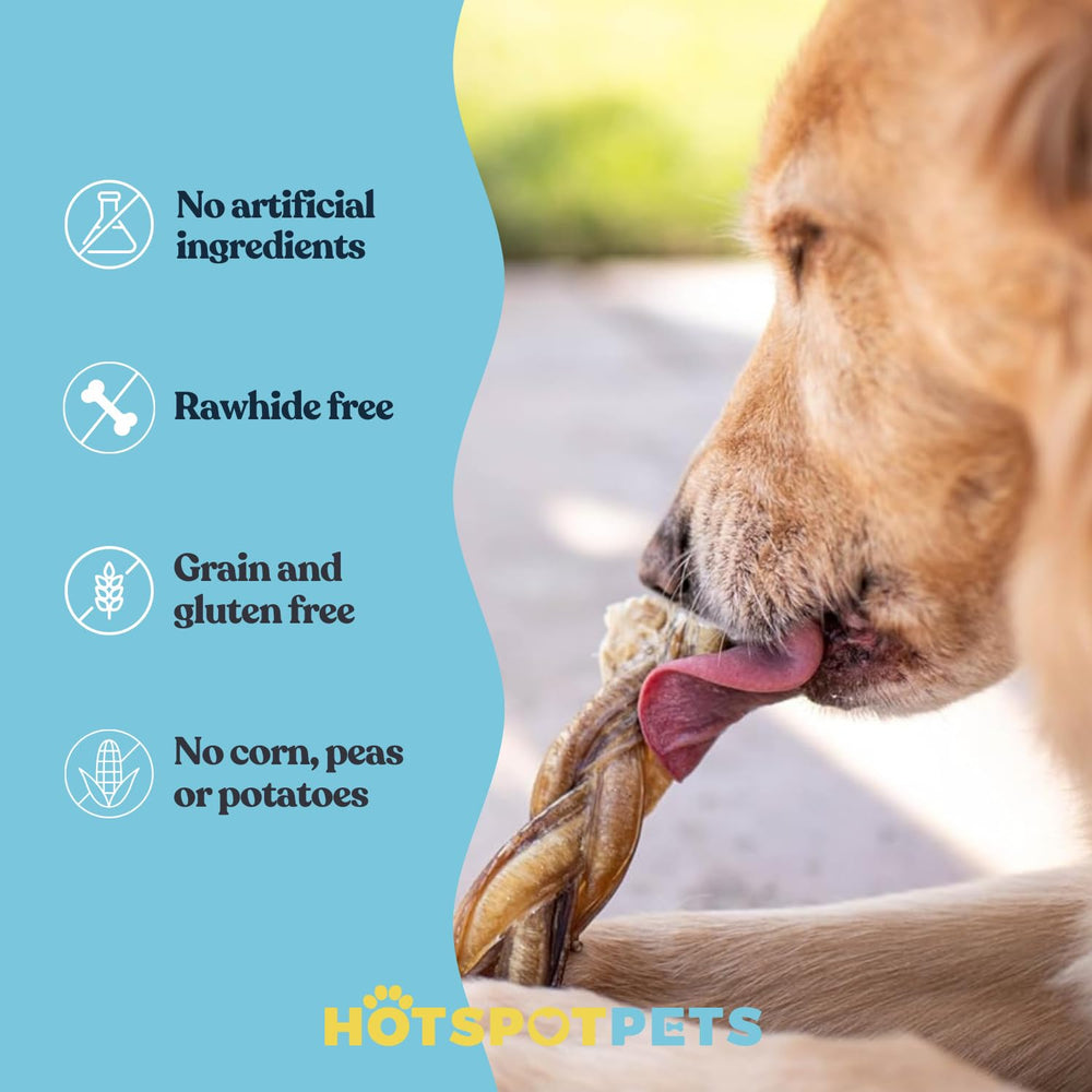 Hotspot Pets dental-friendly bully stick use demonstrates jaw exercise and mouth health support