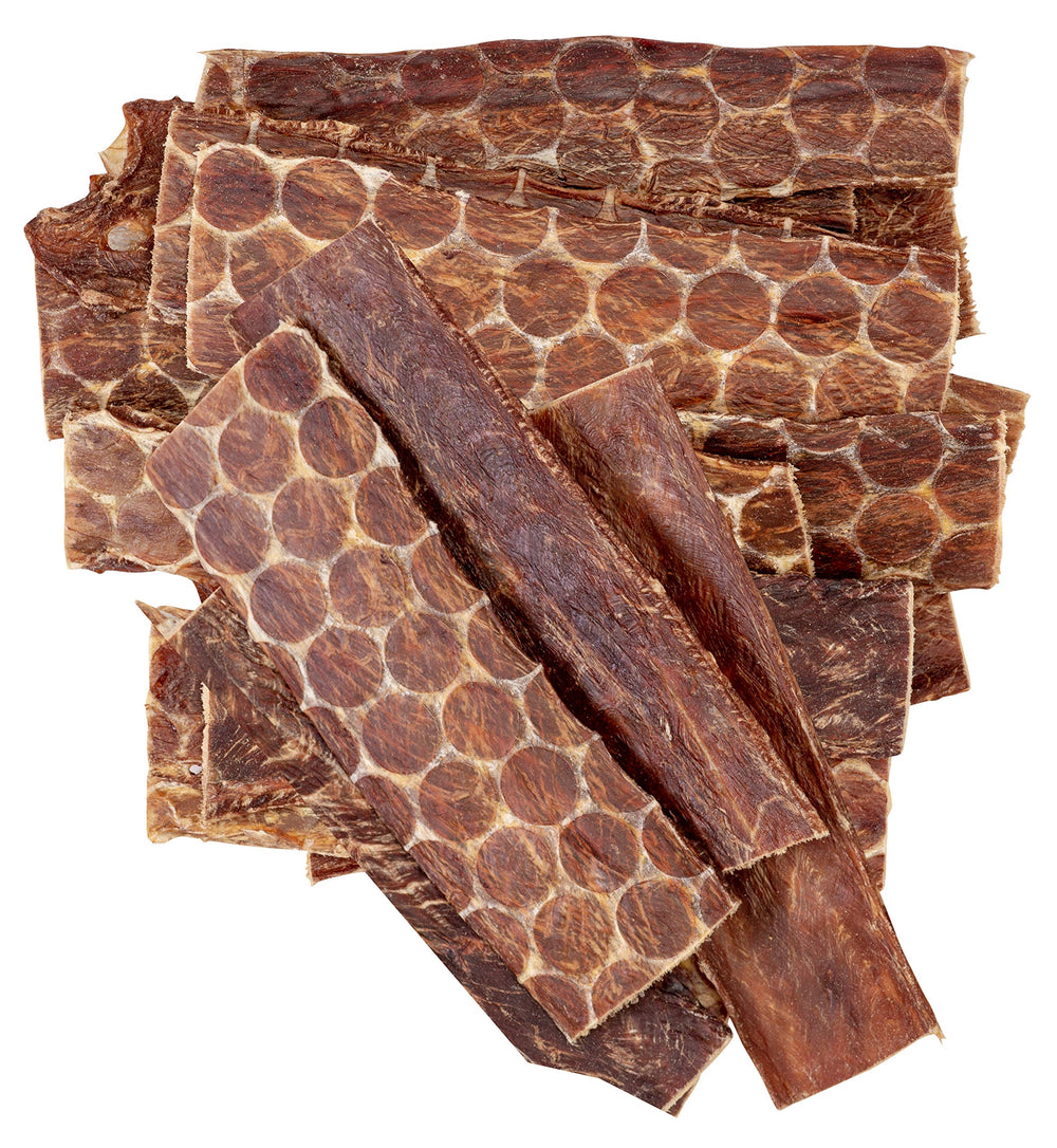 HotSpot Pets esophagus dog treat 6-inch chew in hand for longer chew sessions