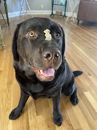 Hotspot Pets Freeze Dried Beef Liver Treats cats and dogs sharing snack.