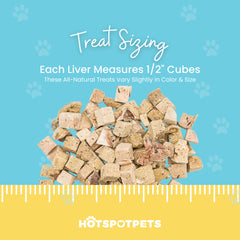 Hotspot Pets Freeze Dried Beef Liver Treats closeup shows crisp liver texture.