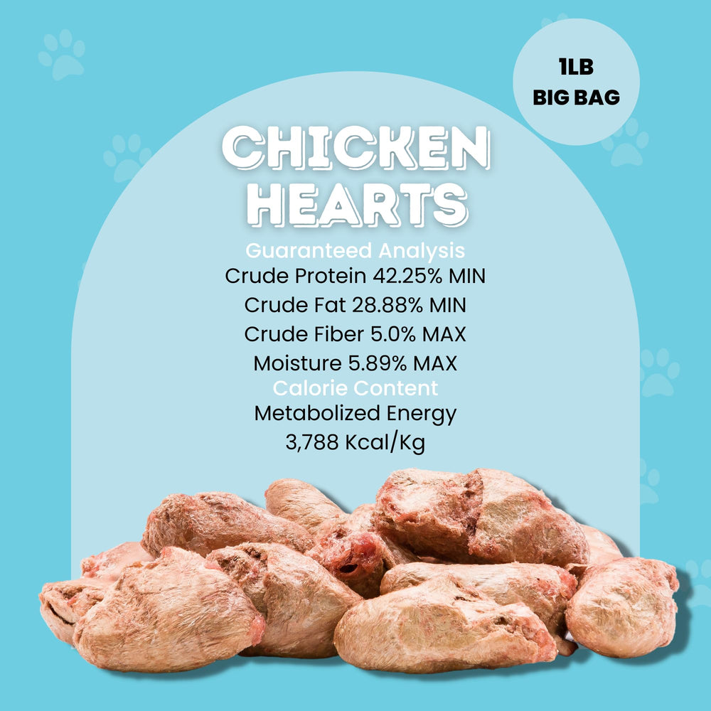 Hotspot Pets Freeze Dried Chicken Hearts dog use—perfect as a protein-rich treat.