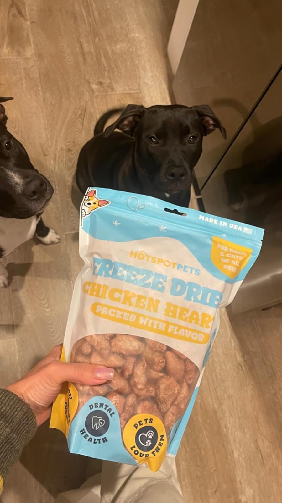 Hotspot Pets Freeze Dried Chicken Hearts resealable bag—keeps treats fresh and convenient.