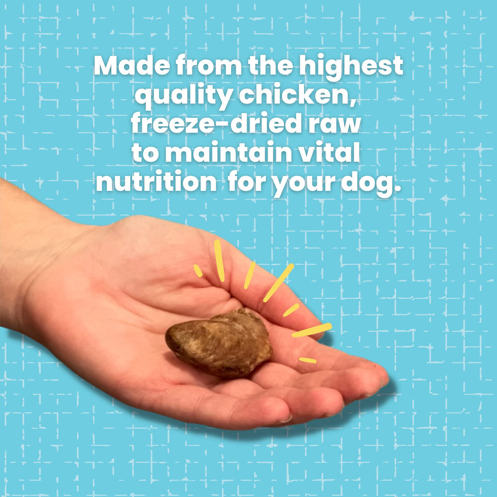 Hotspot Pets Freeze Dried Chicken Hearts topper over kibble—adds flavor and texture.