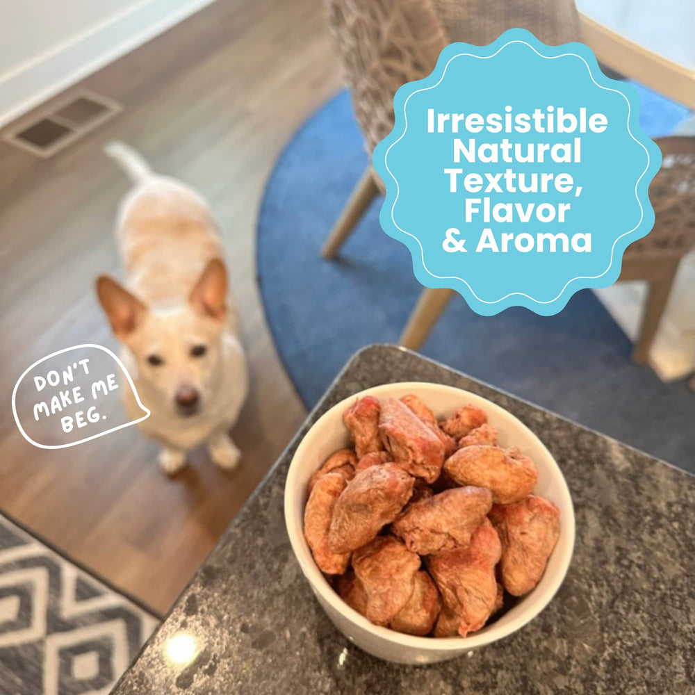 Hotspot Pets Freeze Dried Chicken Hearts training session—easy rewards during training.