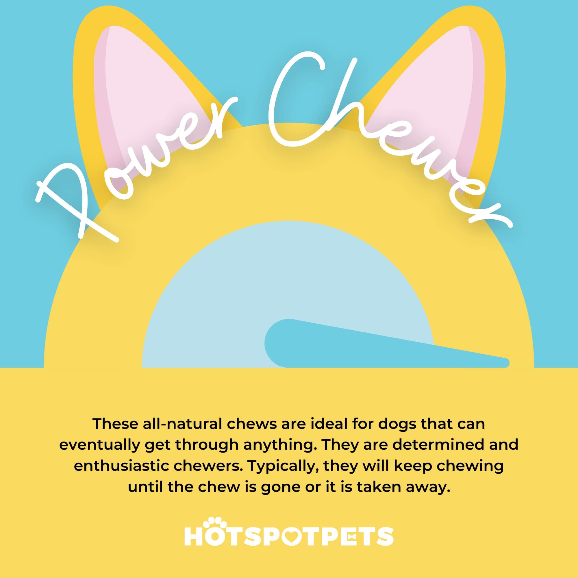 Hotspot Pets long-lasting dog chews built for large breeds to stay engaged.