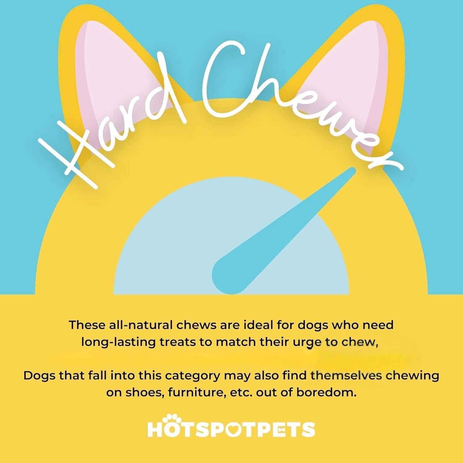 Hotspot Pets low-odor bully sticks 6in image emphasizes mess-free chew time