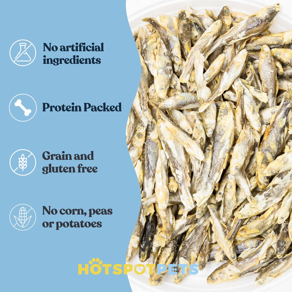 Hotspot Pets minnows topping image illustrates easy kibble topper for mixed meals
