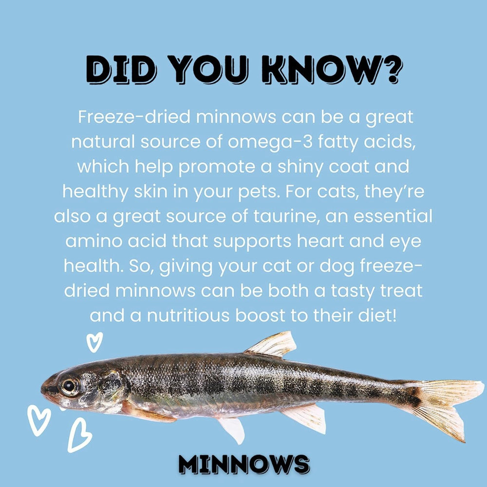 Hotspot Pets minnows texture closeup demonstrates a chewy bite for training rewards