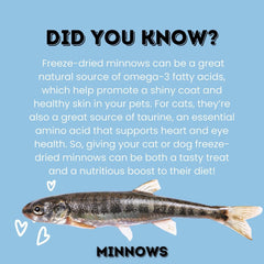 Hotspot Pets minnows texture closeup demonstrates a chewy bite for training rewards