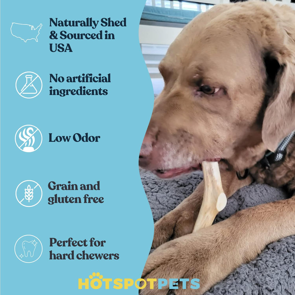 Hotspot Pets naturally shed deer antlers highlight natural origin and safety.
