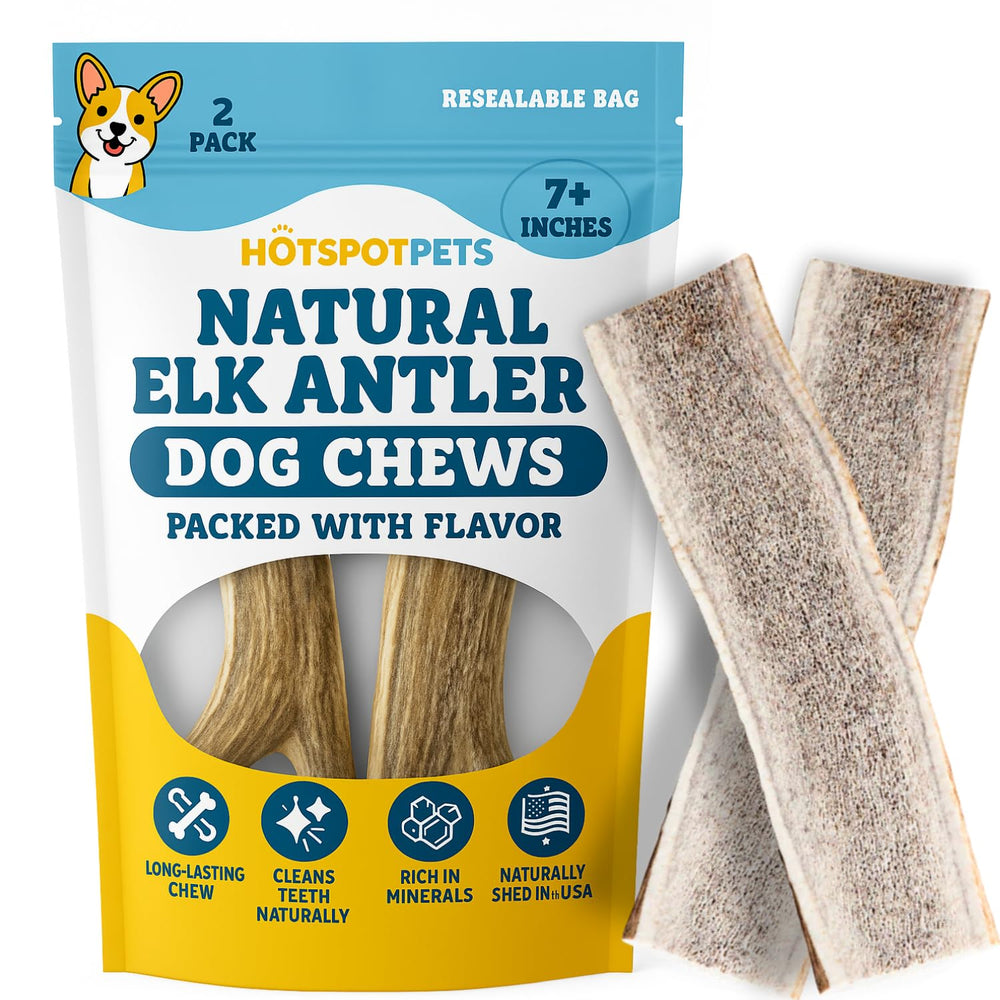 Hotspot Pets premium-grade antlers showing color, weight, and density for quality chews