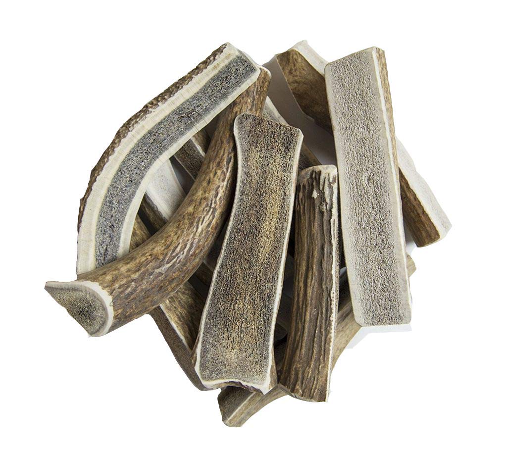 Hotspot Pets premium split elk antlers close-up showing natural color and texture for durable chews