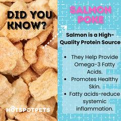 Hotspot Pets resealable bag close-up for fresh, long-lasting snacks