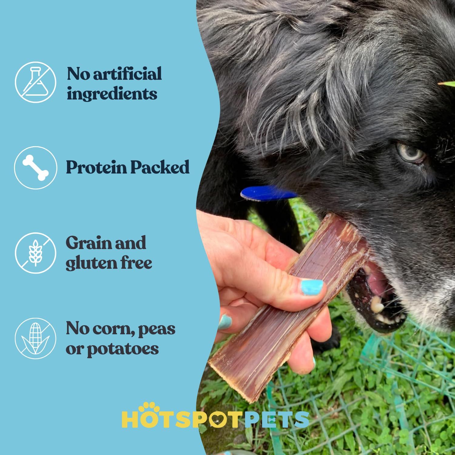 HotSpot Pets single ingredient dog treat ready for natural reward