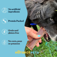 HotSpot Pets single ingredient dog treat ready for natural reward