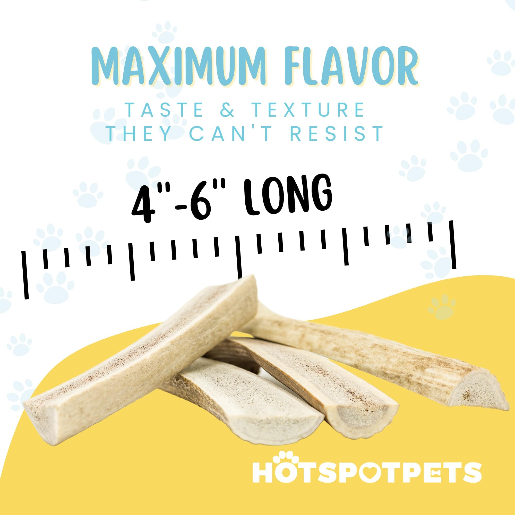 Hotspot Pets Split Elk Antlers center-marrow closeup, natural chew with exposed marrow.