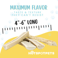 Hotspot Pets Split Elk Antlers center-marrow closeup, natural chew with exposed marrow.