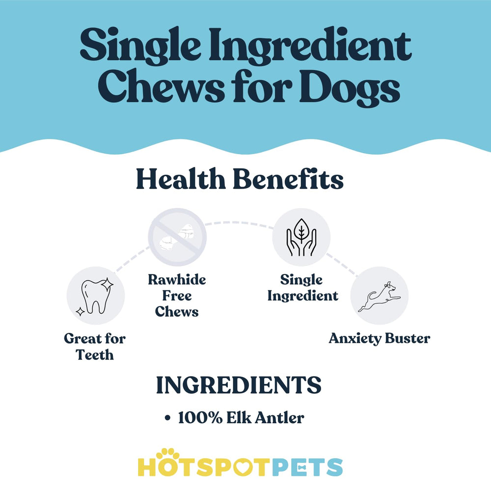 Hotspot Pets Premium-grade elk antlers, natural shed, hand-selected quality for dogs.