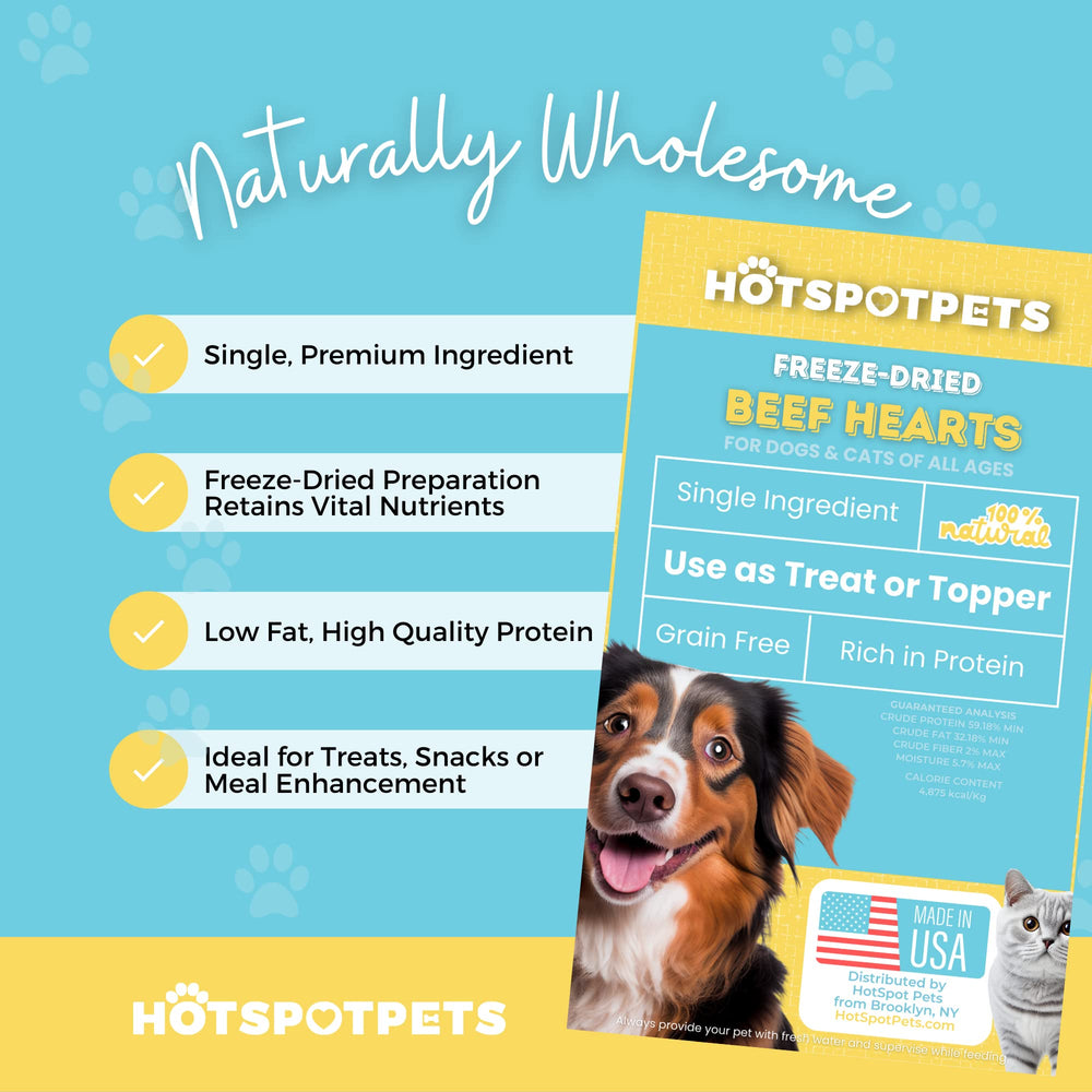Hotspot Pets topper over dry kibble for enhanced flavor