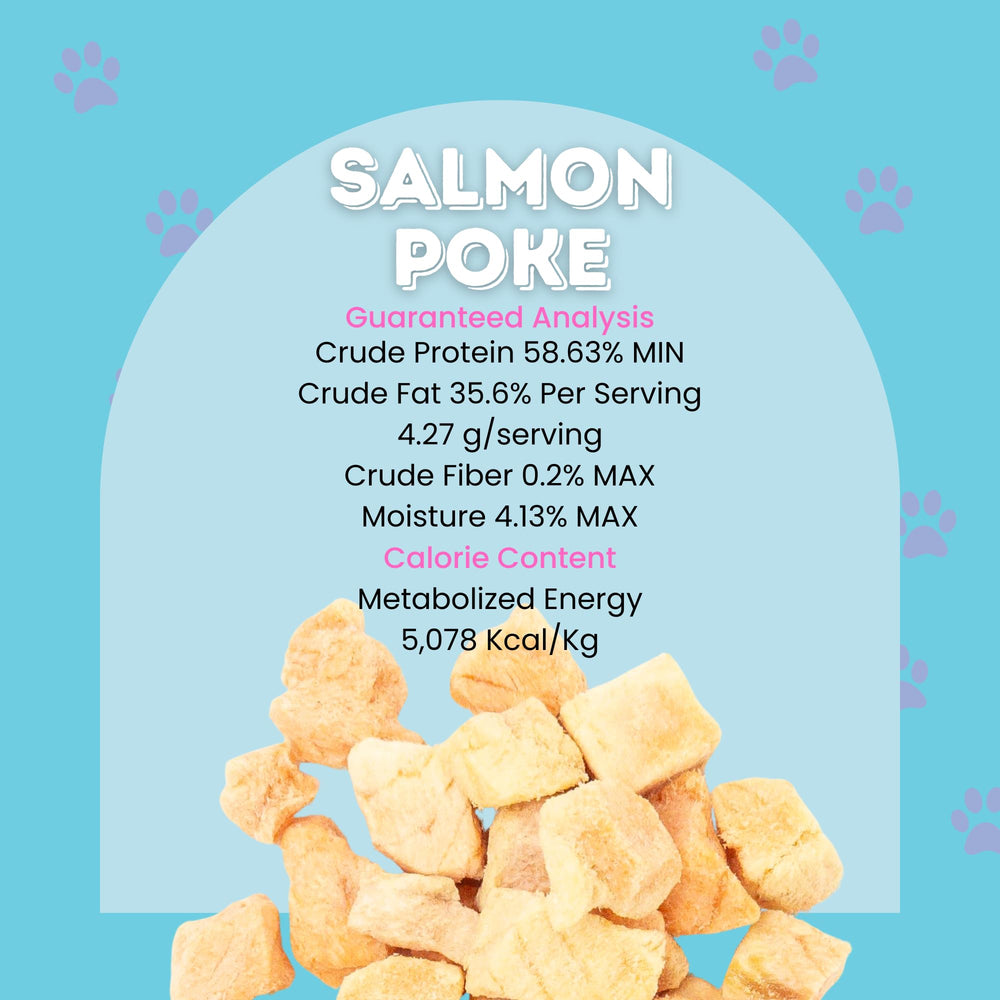 Hotspot Pets salmon treats shown as a training reward for pets