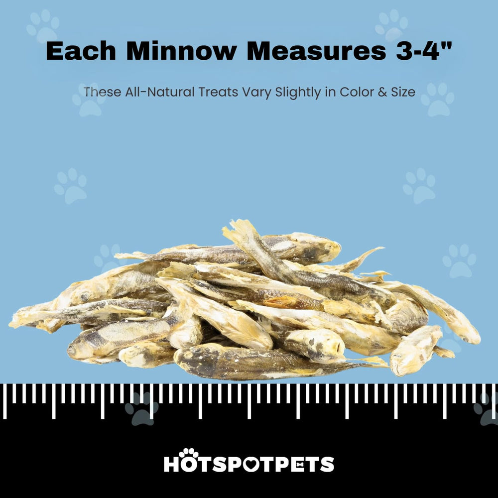 Hotspot Pets usa-made minnows bag emphasizes premium, single-ingredient nutrition