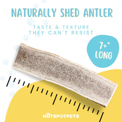 Hotspot Pets USA-sourced elk antler image highlighting responsibly sourced chew