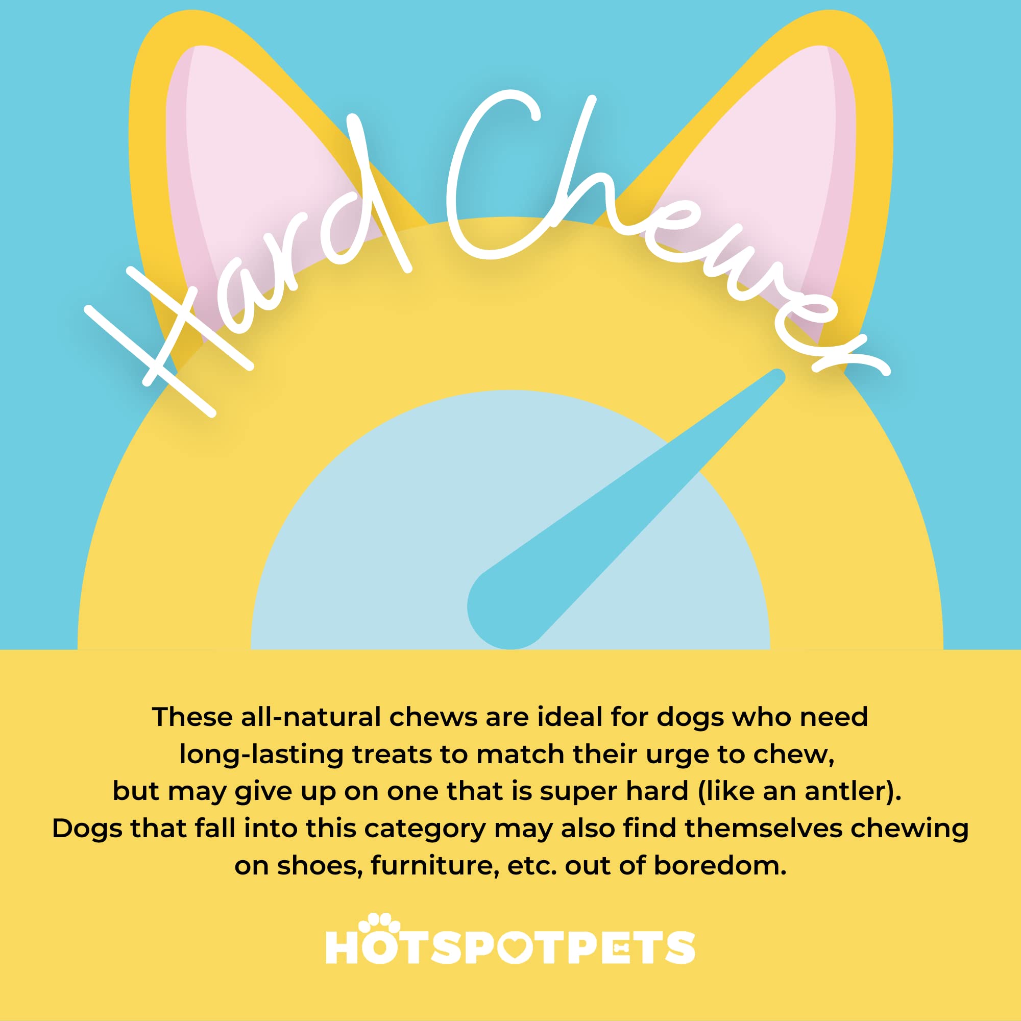Hotspot Pets USDA-certified label close-up emphasizing safety standards