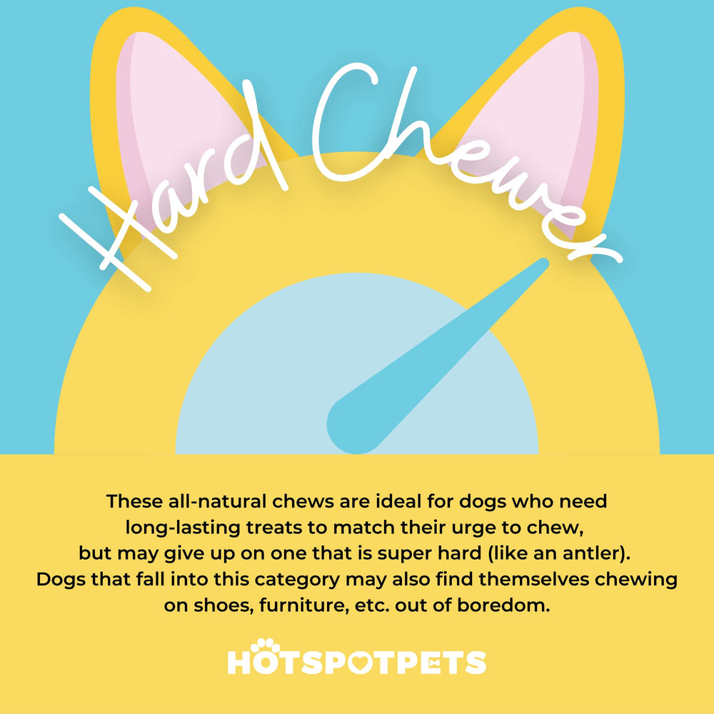 Hotspot Pets USDA-certified label close-up emphasizing safety standards
