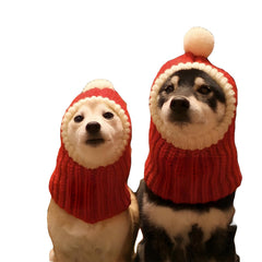 Hotumn dog beanie front view with red pompon offering cozy winter warmth.