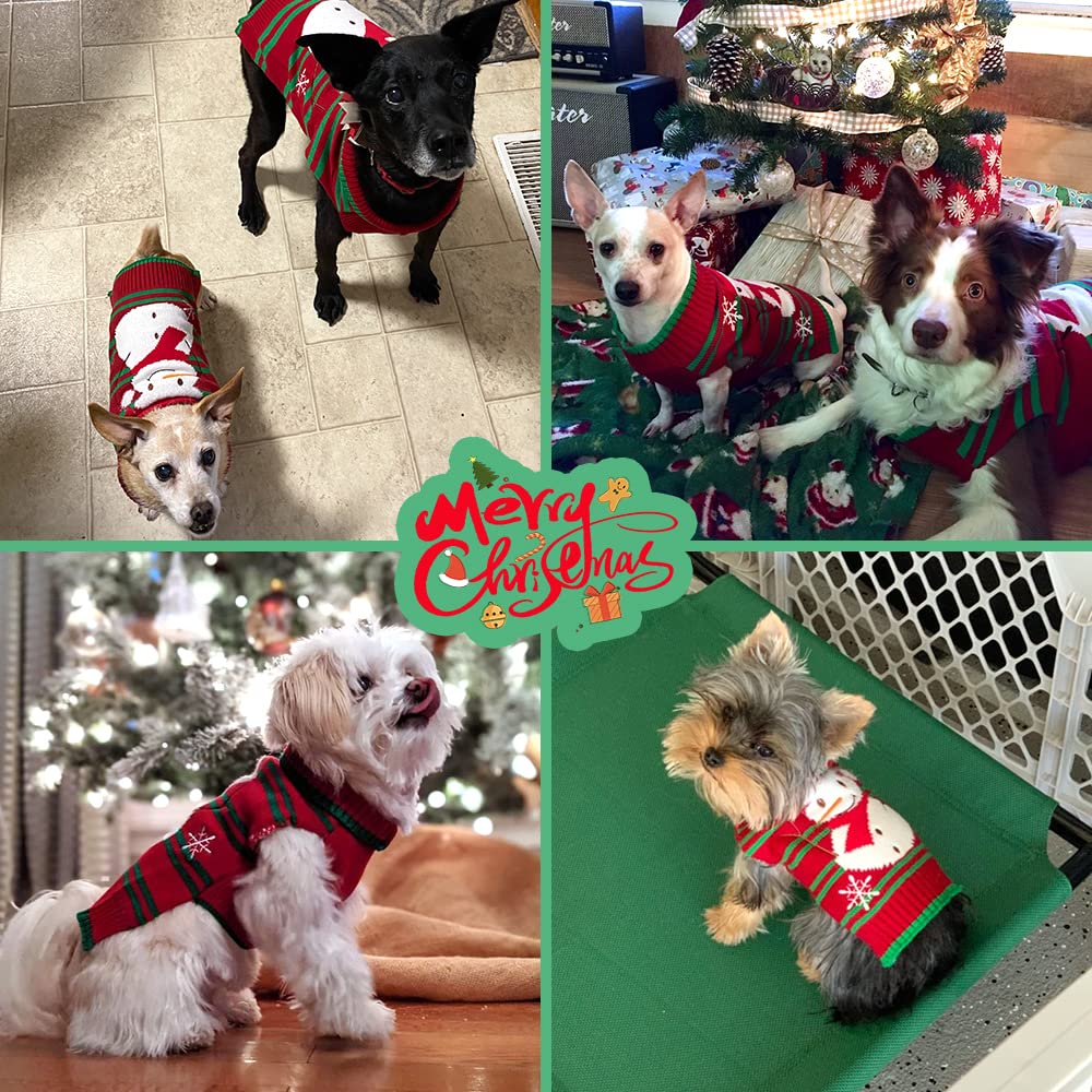 Hotumn snowman dog sweater on dog in a snowy scene suggests holiday style