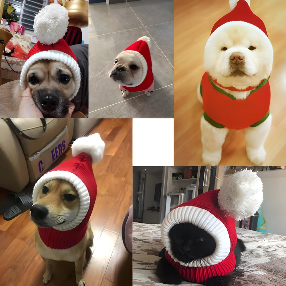 Hotumn winter dog hat in red reflects versatile use for pets and people.