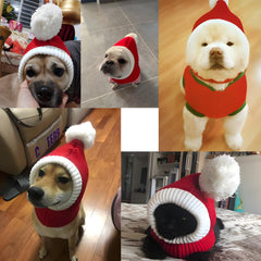 Hotumn winter dog hat in red reflects versatile use for pets and people.