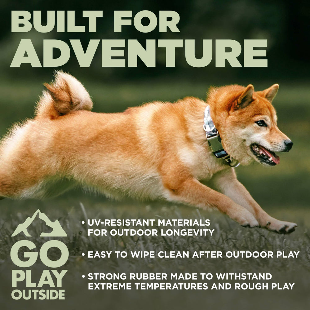 HOUND2O two-pack outdoors in backyard for quick fetch sessions.