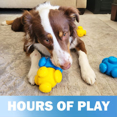 HOUNDGAMES boredom-buster-puzzle highlights long lasting entertainment and brain stimulation