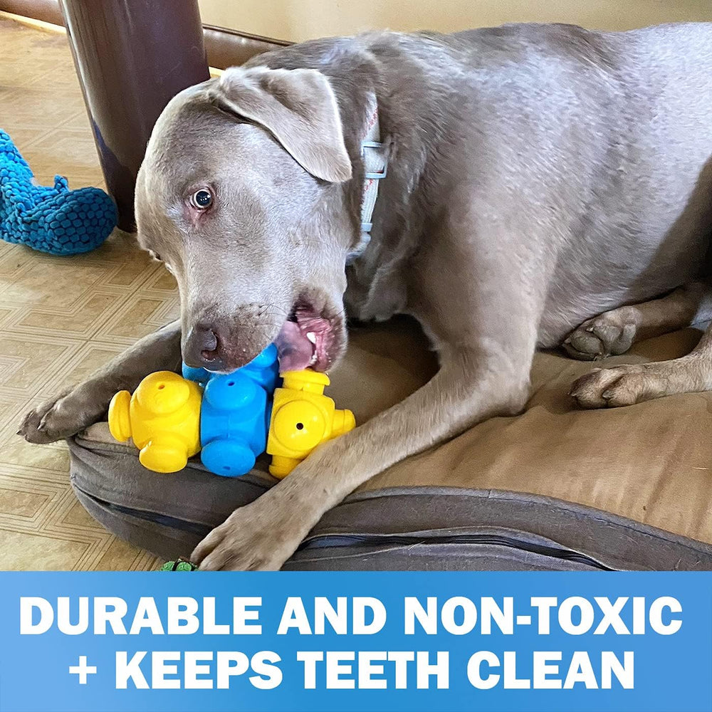 HOUNDGAMES food-dispensing-toy creates rewarding feeding rounds and motivation.
