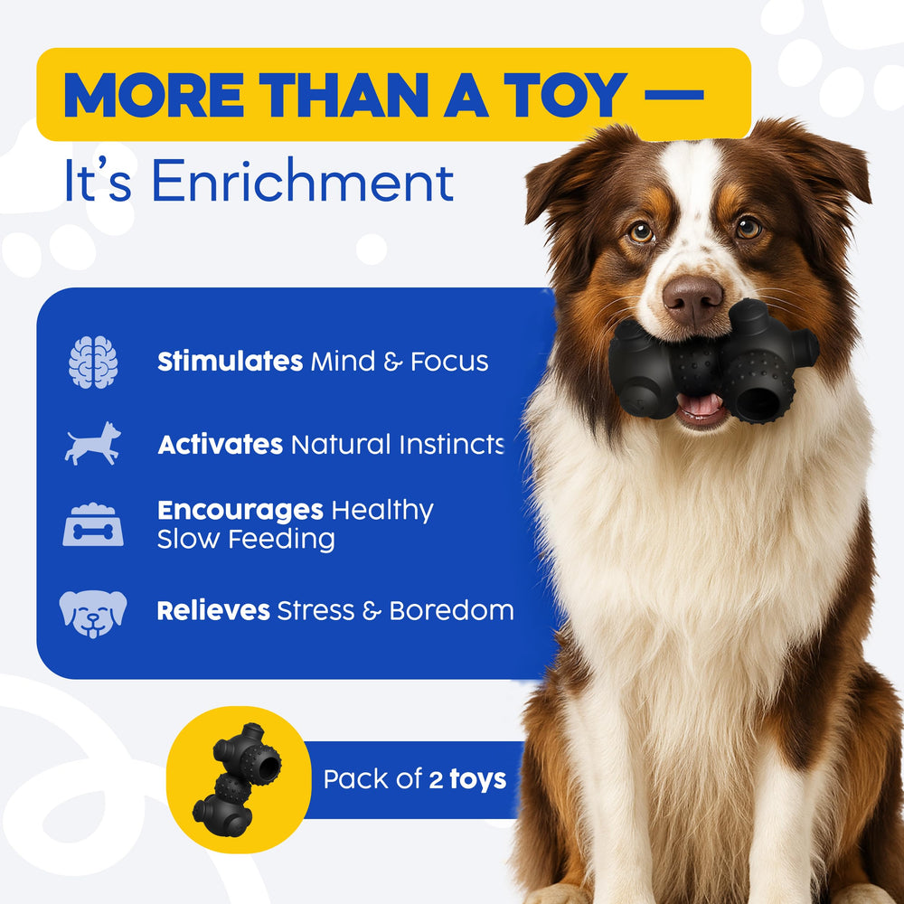 HOUNDGAMES small-dog use level4 enrichment for smart puppies