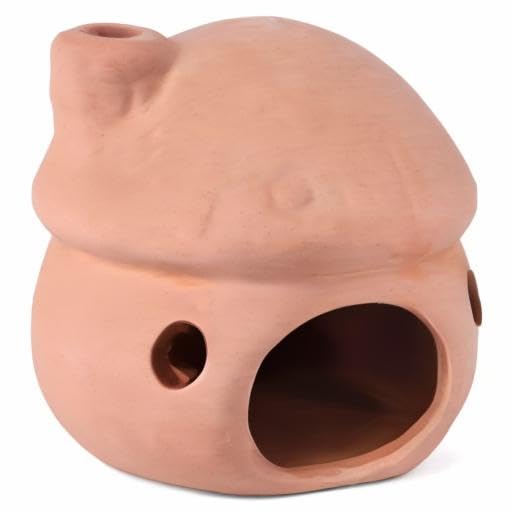 HouseUp ceramic cave pre-use soak helps remove surface dust before setup