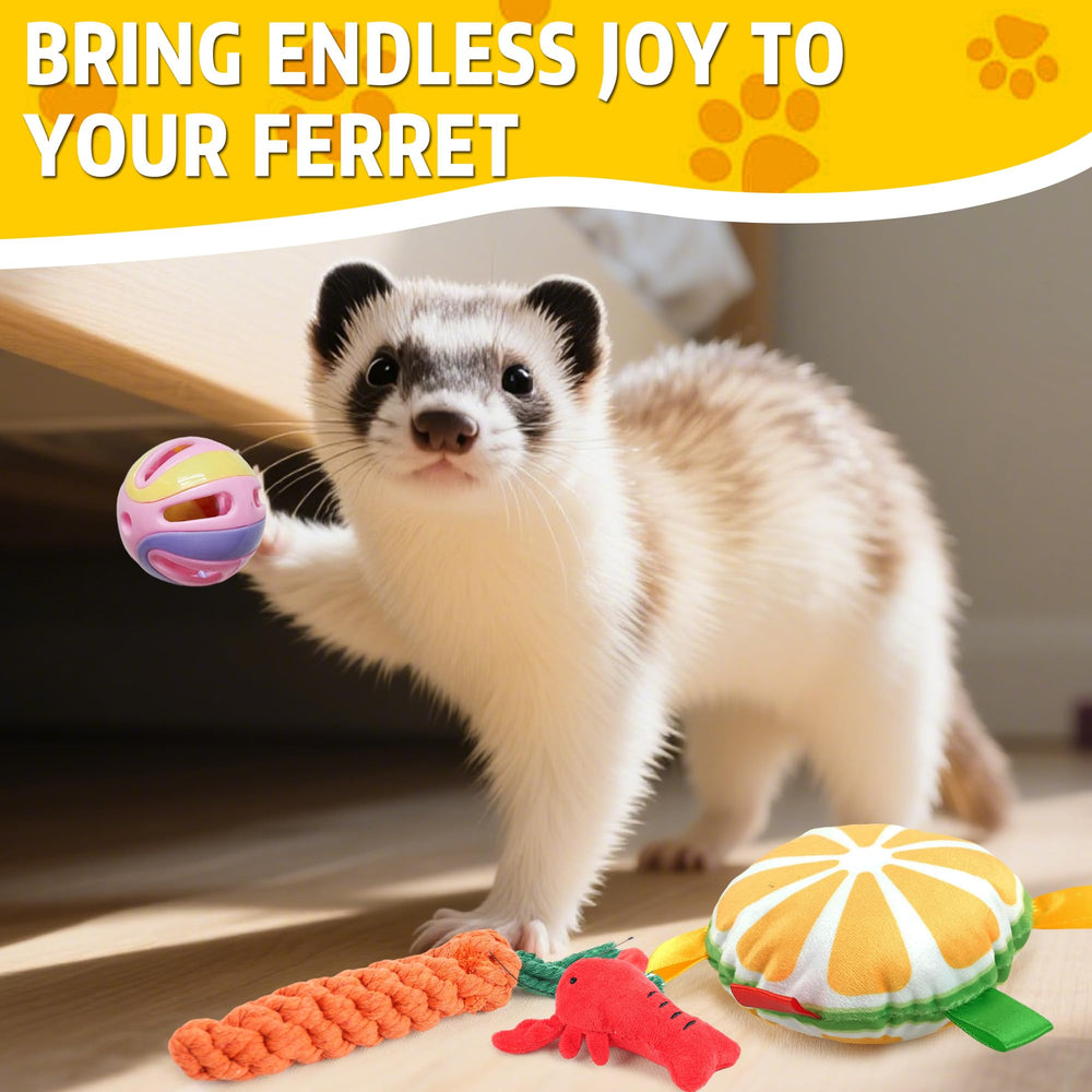 howaukf ferret fruit frisbee image — lightweight frisbee for tossing and chasing