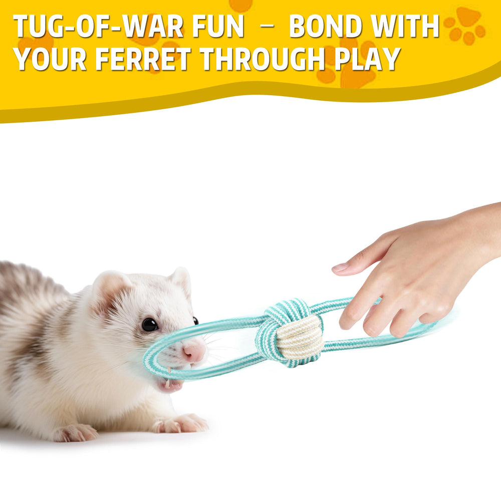 howaukf ferret spring toy image — crinkly and bouncy for curiosity and engagement