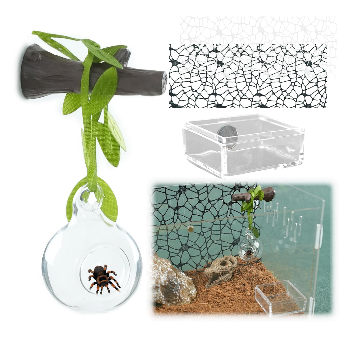 Howaukf jumping spider glass ball habitat offers clear viewing while resting