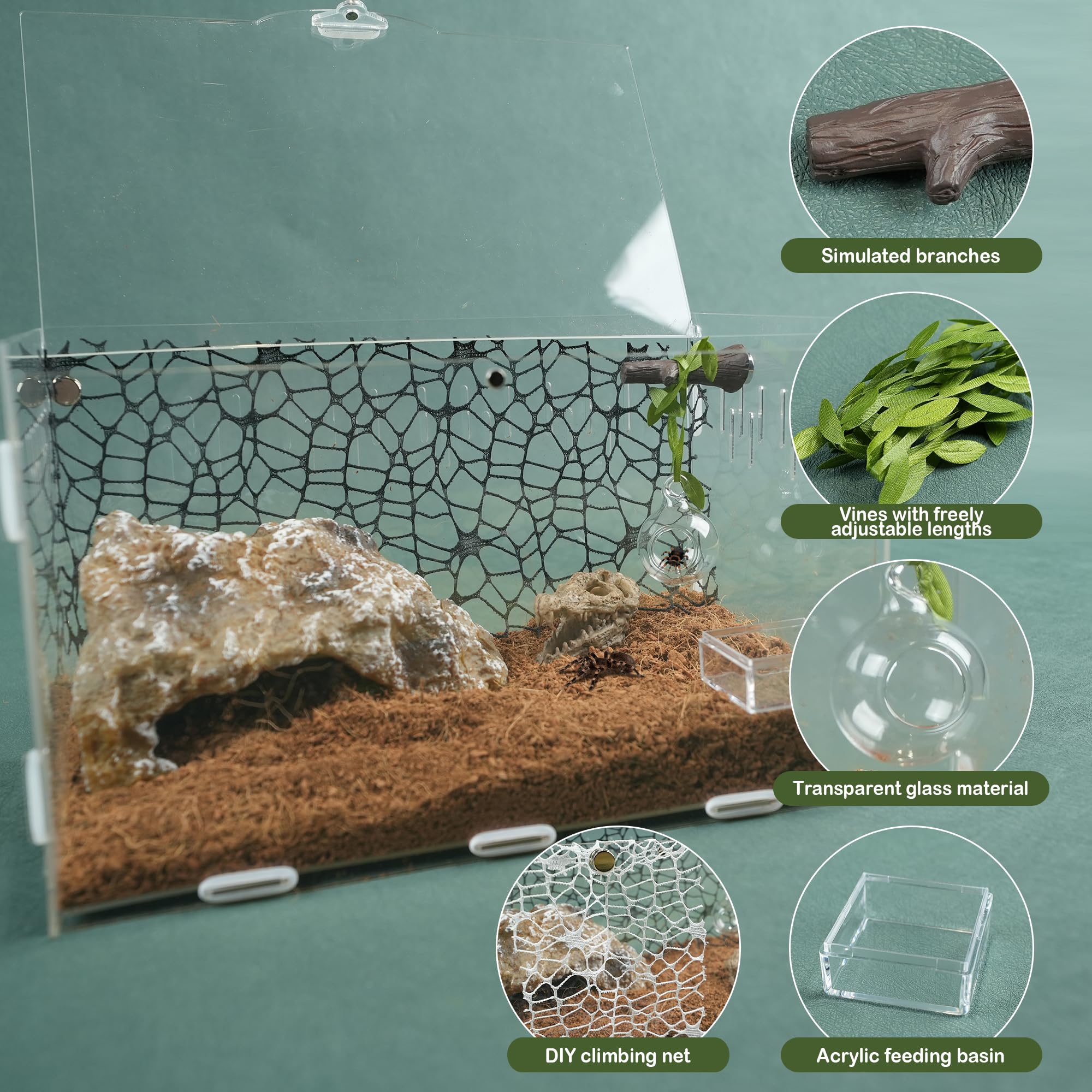 Howaukf jumping spider leafy rope provides textured routes and secure perches