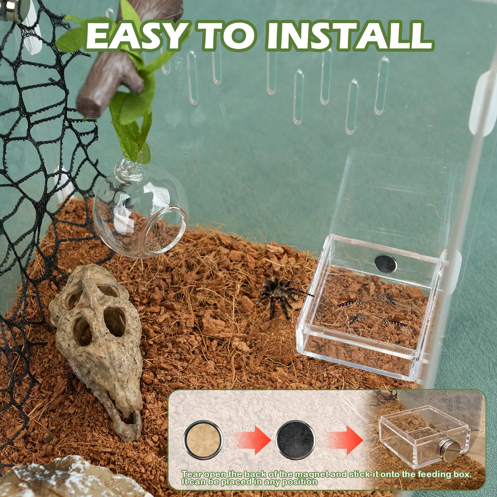 Howaukf jumping spider webs black-white enable flexible climbing layout