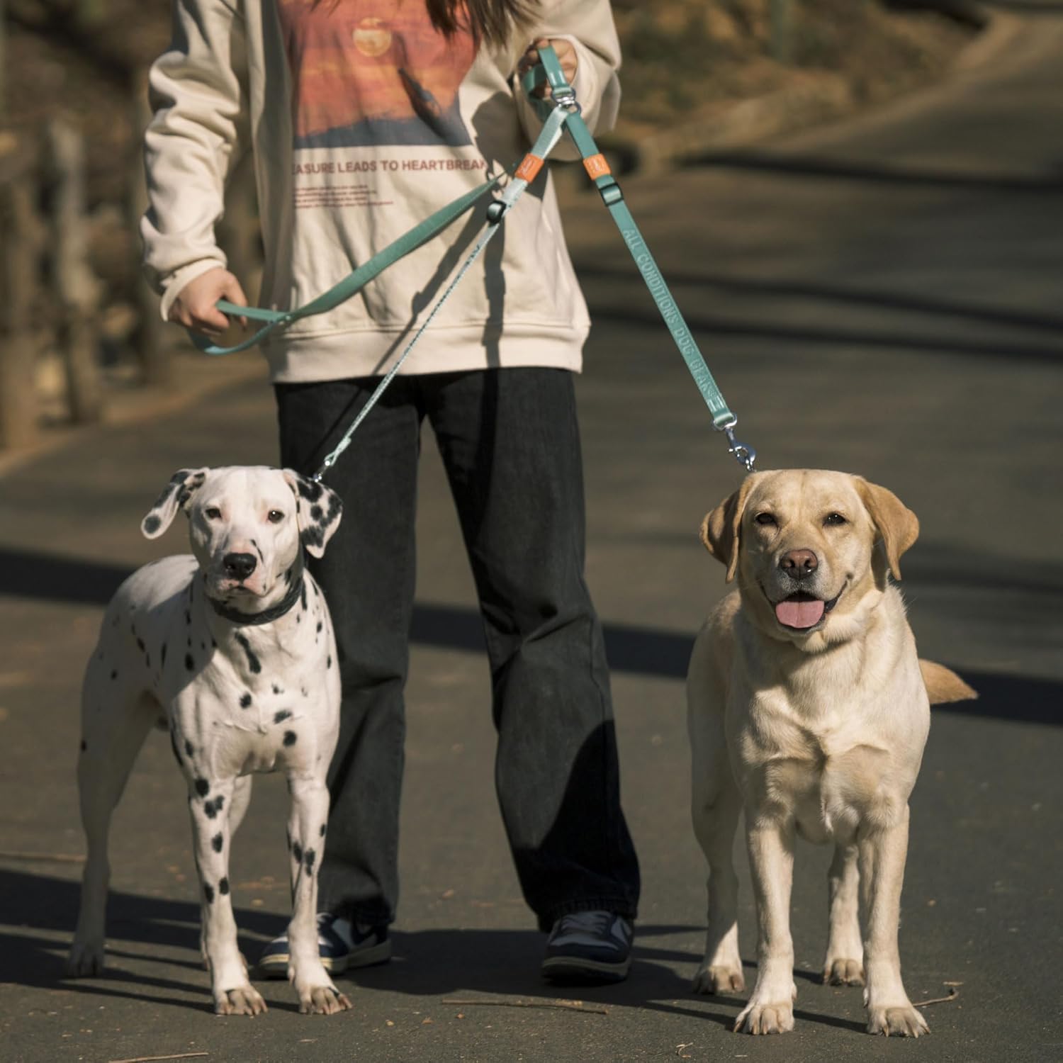 HOWGO suitable for 30–150 lbs large and medium breeds on daily walks.