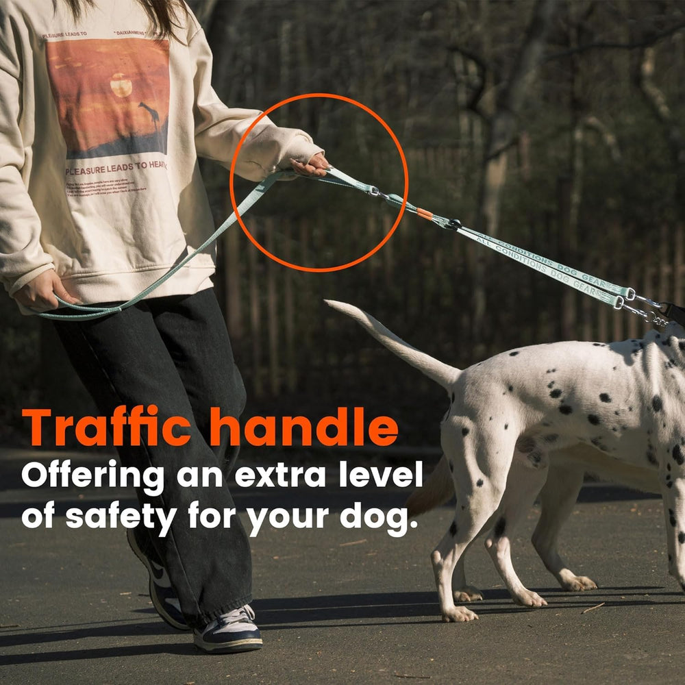 HOWGO two webbing width options fit different dog sizes for secure control.
