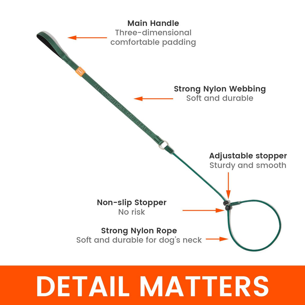 HOWGO dog slip lead orange 3.6ft no-pull function encourages safer pacing