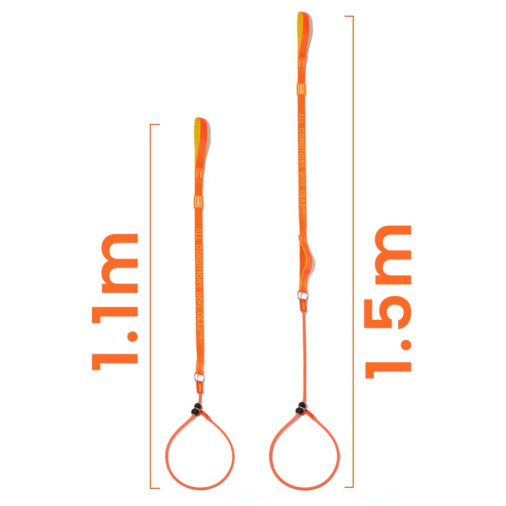 HOWGO dog slip lead orange 3.6ft walking scenarios in city or park