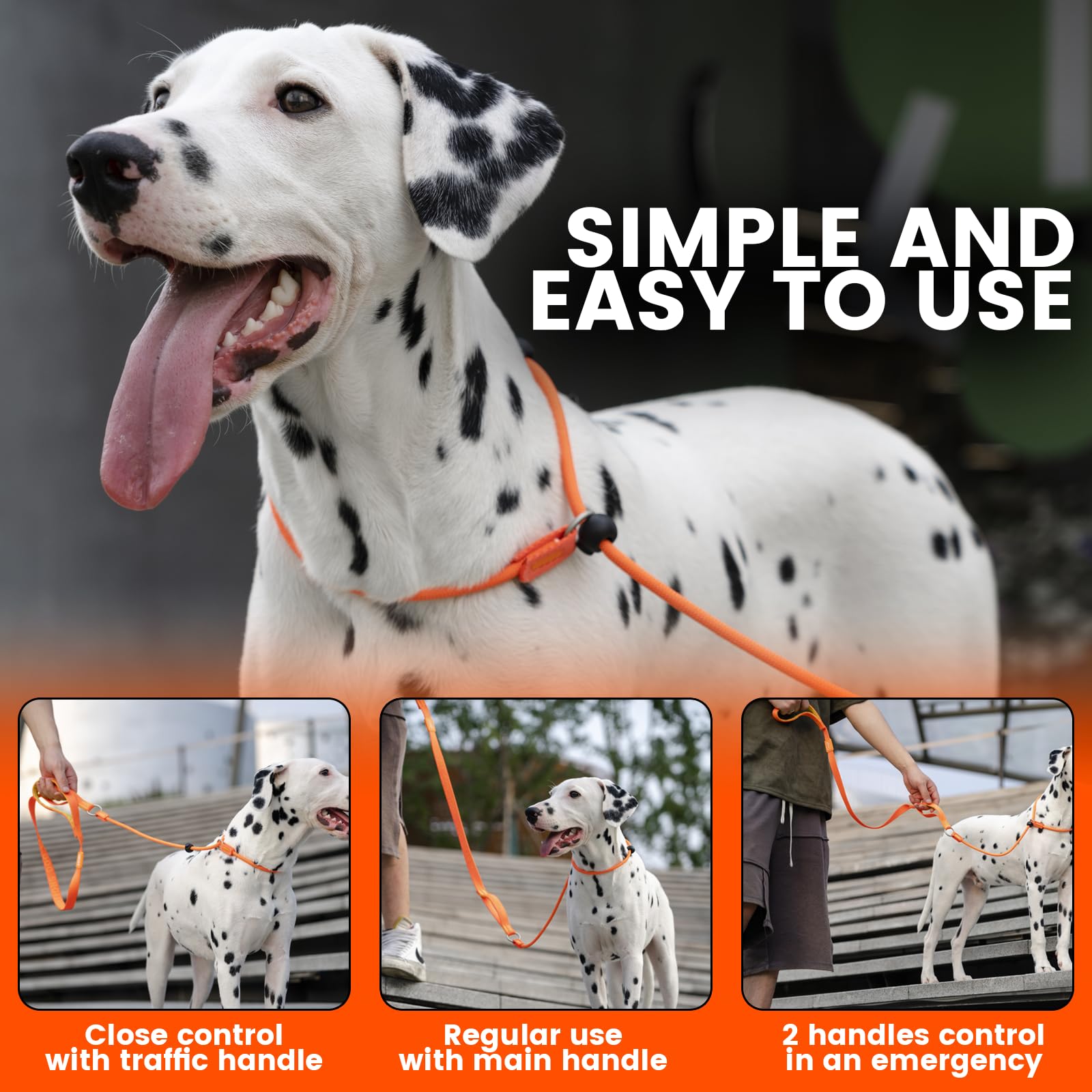 HOWGO padded-handle slip lead provides comfortable grip for extended walks.