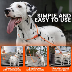 HOWGO dog slip lead pink 5ft with traffic-handle demonstrates secure control during walks.