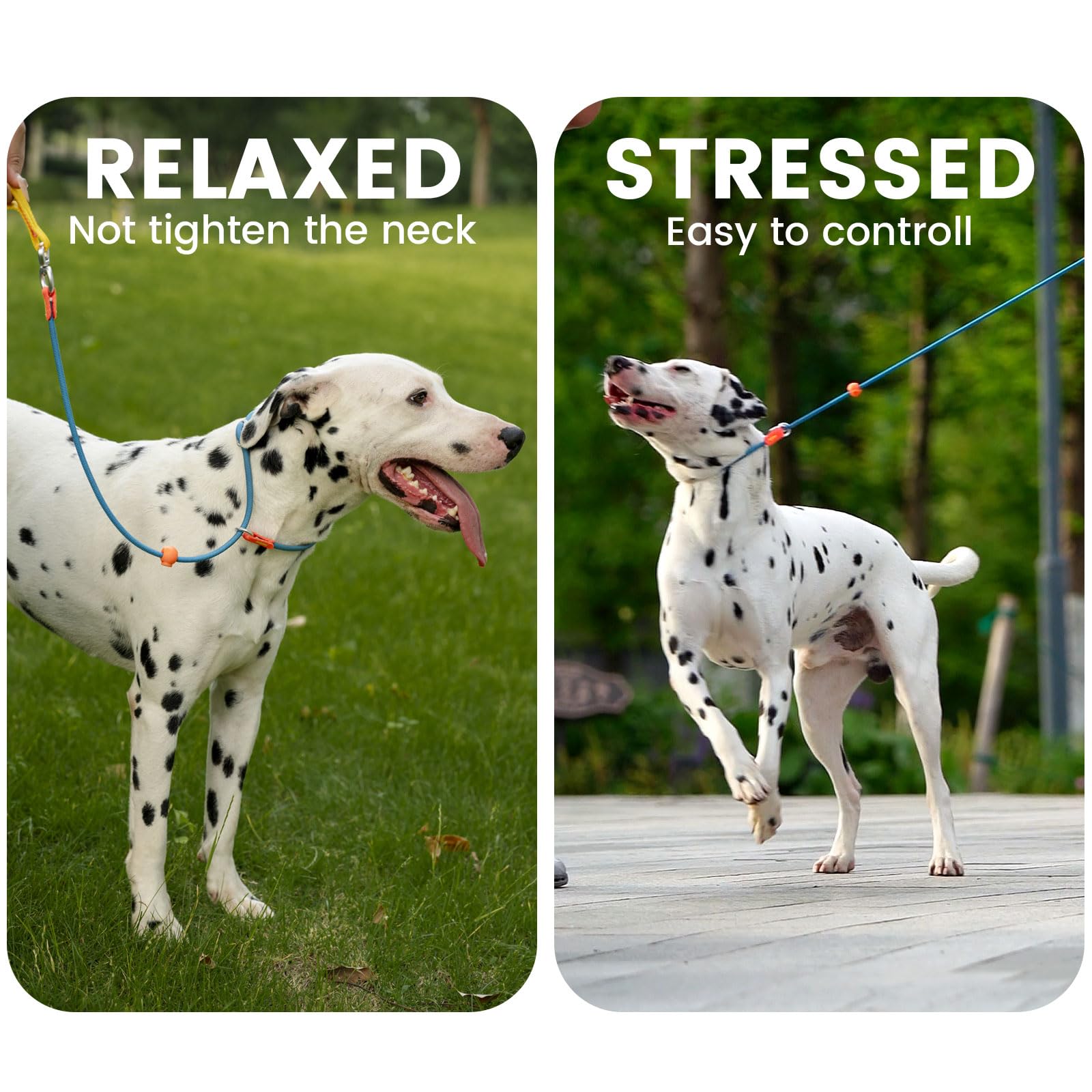 HOWGO Slip Lead’s 360° swivel prevents tangles during energetic strolls.